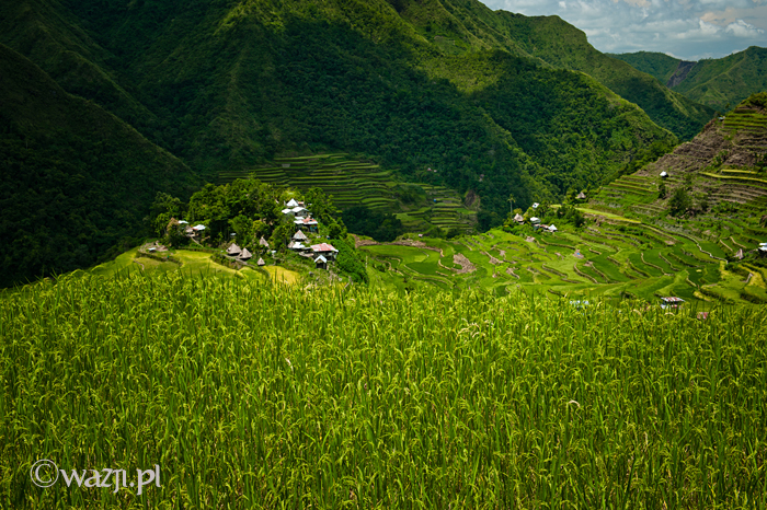 Filipiny_Batad_pola ryżowe, DSC_9808