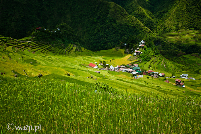 Filipiny_Batad_pola ryżowe, DSC_9826