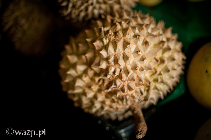 durian_DSC_3662