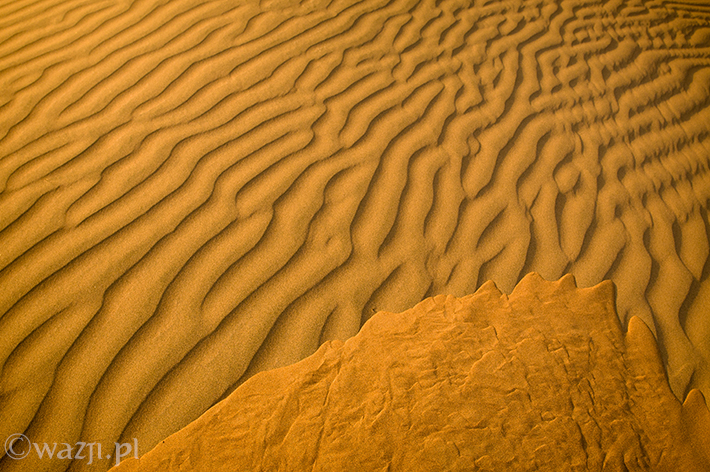 Oman_Wahiba_Sands_pustynia, DSC_8646