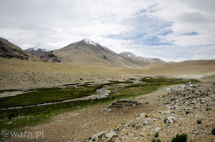 Indie_Ladakh_Tso_Moriri, DSC_4562