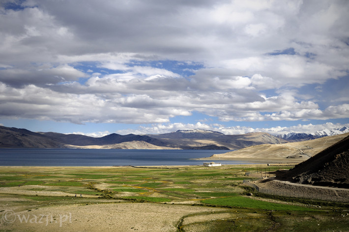 Indie_Ladakh_Tso_Moriri, DSC_4584