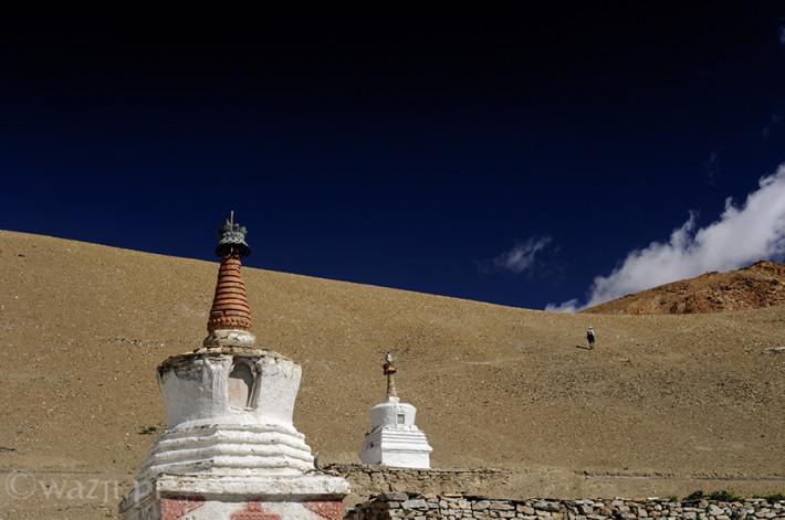 Indie_Ladakh_Tso_Moriri, DSC_4665