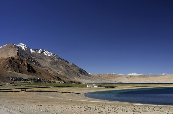 Indie_Ladakh_Tso_Moriri, DSC_4742