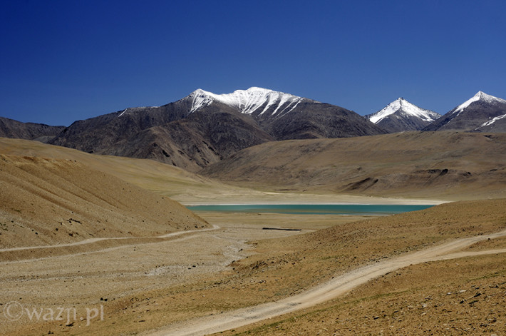 Indie_Ladakh_Tso_Moriri, DSC_4817