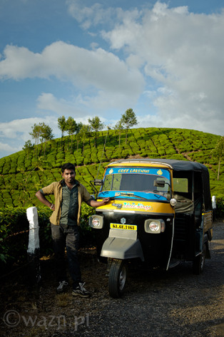 Indie_Kerala_Munnar_plantacje_herbaty, DSC_3943