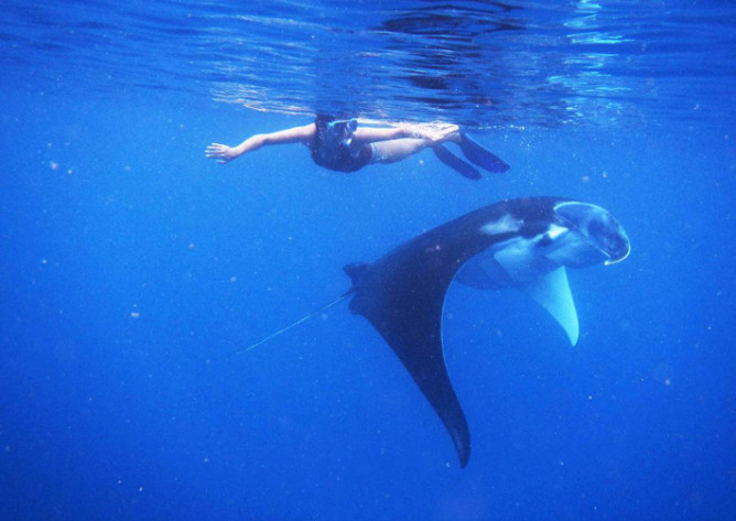 Z MANTĄ. PAPUA.INDONEZJA