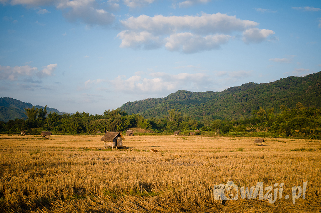 Okolice Luang Nam Tha na północy Laosu.